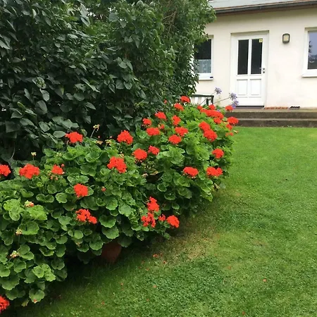 Appartement Wende Heringsdorf (Usedom)