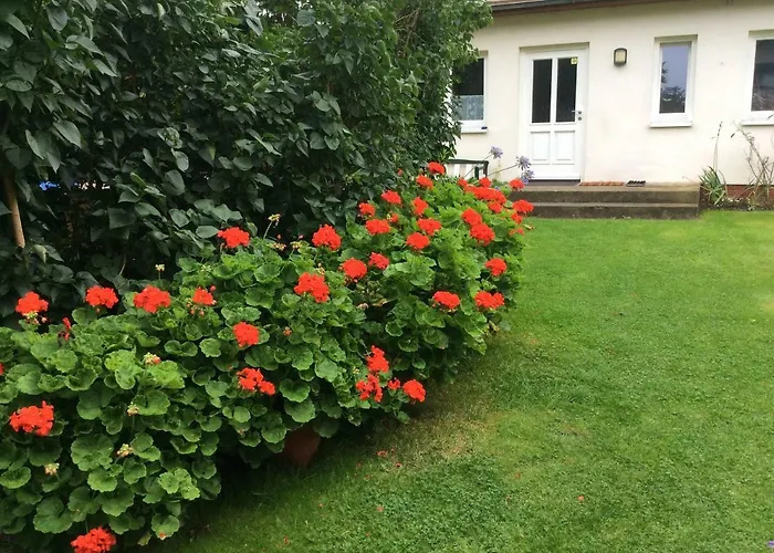 Apartamento Wende Heringsdorf (Usedom)